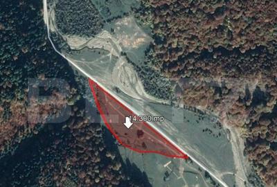 Teren 14.300 mp, Valea Zizinului Teren 14.300 mp, Valea Zizinului - 2