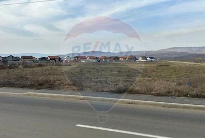 Teren intravilan, 5000 mp, Drobeta-Turnu Severin - 6