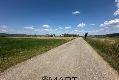 Teren de 5000 mp, în Râșnov Romacril - 7