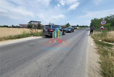 Vanzare teren Mihai Voda Bolintin Deal - 3