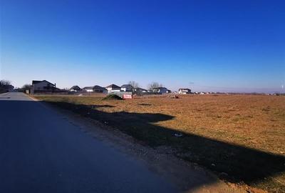 Teren Construcții intravilan de 7500 mp, în Berceni - 2