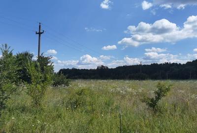 OPORTUNITATE INVESTITIE teren deosebit autostrada/DN1 - 2