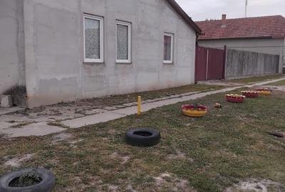 Casă cu 2 camere în Central - 4