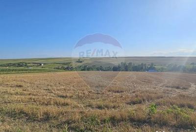 Teren de 7500 mp, în Moara - 9