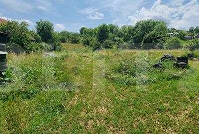 Casa individuala 140 mp cu teren 14660 mp - posibilitate de investitie, Suceagu - 5