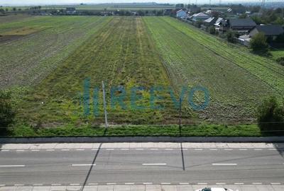 Teren de 5000 mp, în Bogdan Vodă - 5