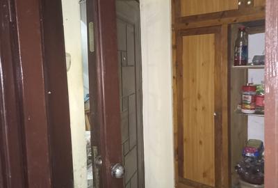 Apartament 2 camere zona Parcul Tineretului - 3