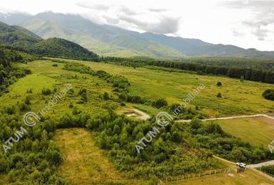 Teren intravilan 3900 mp Porumbacu de Sus, Sibiu - 16