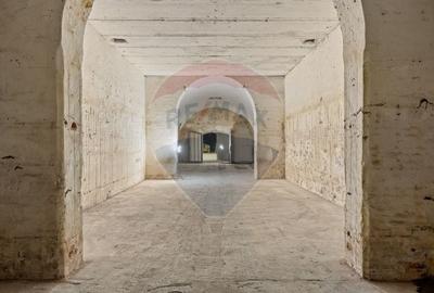 Spațiu comercial, de 400 mp, în Aradul Nou - 3