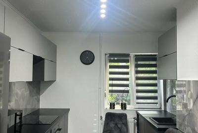 Apartament cu 2 camere semidecomandat în Nufărul - 5