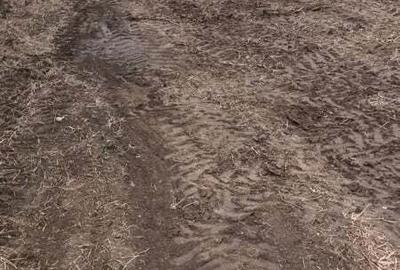 Inchiriez gratuit 400mp teren in Prahova - 1