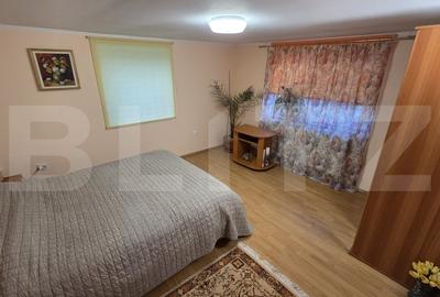 Casa individuala, zona centrala - posibilitate business !! - 14