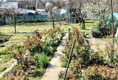 Casă în Iepurești - 4