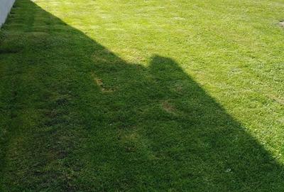 Casă cu 2 camere cu Teren 690 Mp în Colonia Mică - 3