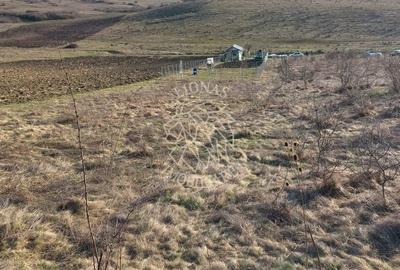 Teren Construcții extravilan de 2100 mp, în Sud - 2