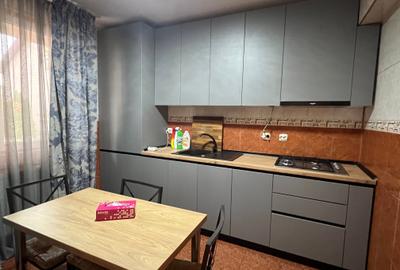 Casă spațioasă de închiriere la malul lacului Colentina, Dobroești Casă spațioasă de închiriere la malul lacului Colentina, Dobroești - 4