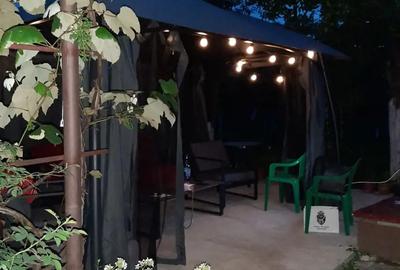 Casă cu Teren 2500 Mp în Telești - 3