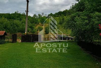 Casa bătrânească de vânzare | 4 camere | Hunedoara | Micănești - 4