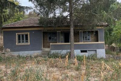 Casa de anzare con Ion corvin - 3