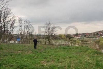 Teren de 2900 mp, în Paleu - 5