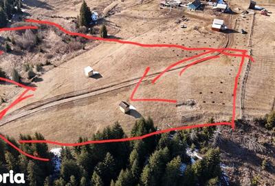 Teren de 30000 mp, în Șaru Dornei - 1