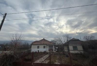 Casă cu Teren 2448 Mp în Pârscov - 2