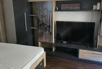 Apartament cu 2 camere decomandat, mobilat în Nicolae Grigorescu - 7