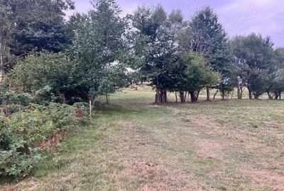 Teren de 3880 mp, în Cheia - 10