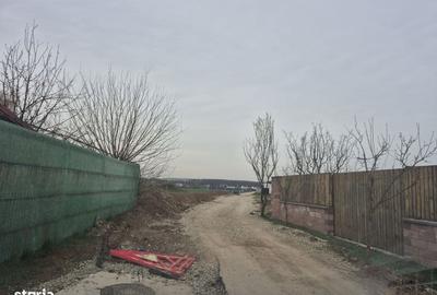 Spațiu comercial, în Balotești - 4