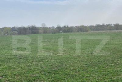 Teren de 5933 mp, în Central - 2