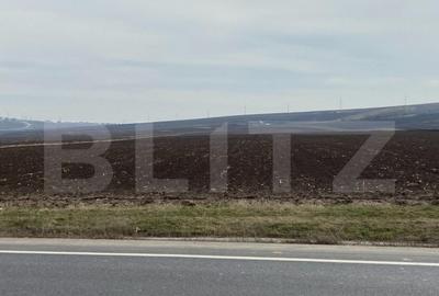 Teren de 6700 mp, în Central