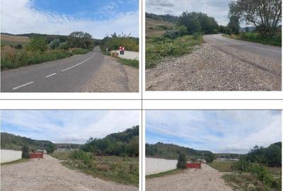 Teren Filipeni, Padure, ID: R2388724 - 3