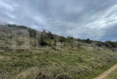 Teren de 2800 mp, în Drâmbar - 3