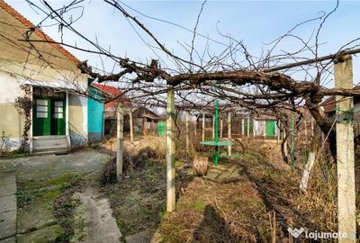 Casă cu 2 camere cu Teren 3036 Mp în Borș - 15