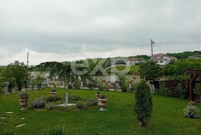 Casă individuală cu 8 camere cu Teren 1950 Mp în Corbeanca - 6