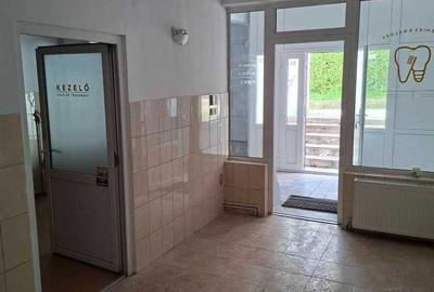 Spațiu comercial, de 80 mp, în Central - 1