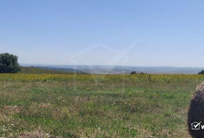 Teren agricol extravilan de 2519 mp, în Aiton