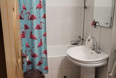 Apartament cu 3 camere semidecomandat în Gura Văii - 12