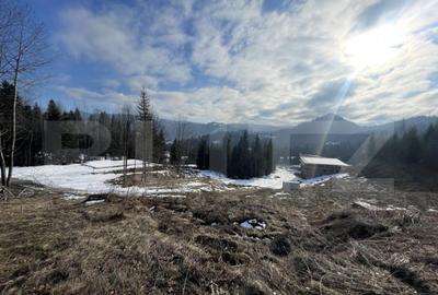 Teren intravilan de vanzare, 15 ari, zona COLIBITA - 8