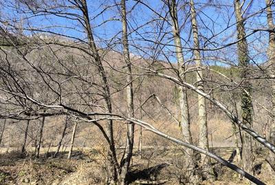 Spațiu comercial, în Petros - 4