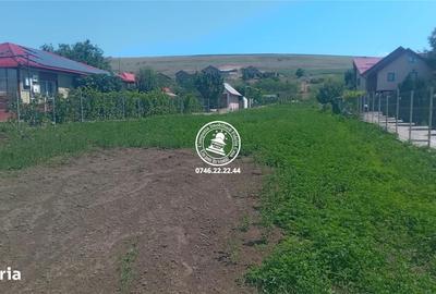 Teren de 4467 mp, în Lețcani - 2