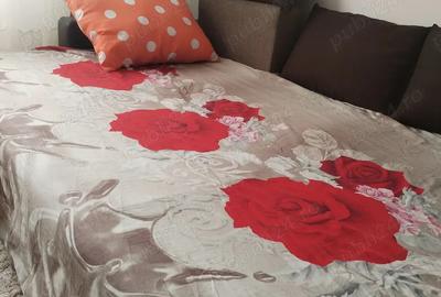 Garsoniera Tractorul-Coresi - 10