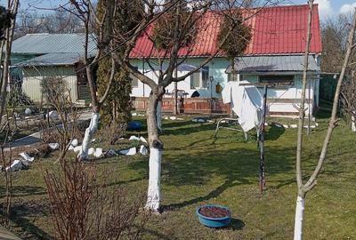 Casă cu 2 camere cu Teren 1200 Mp în Central - 6