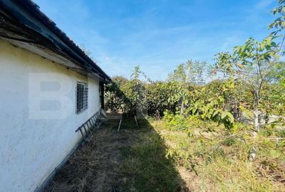 Spațiu comercial, de 300 mp, în Calea Severinului - 12