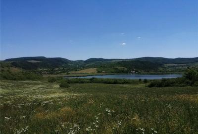 Teren în Săcălaia - 6
