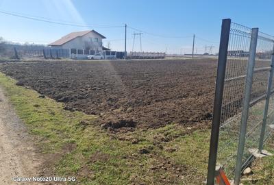Vand teren intravilan supraf 638 mp com Branesti Vadu Anei pretabil construcție - 6