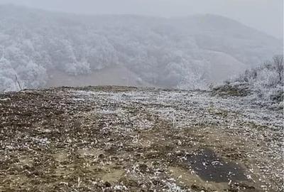 Teren intravilan ,1.000 mp , zona Str Salcamului - 2