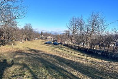 Spațiu comercial, în Breb - 2