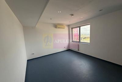 Proprietate specială, de 800 mp, în Theodor Pallady - 12