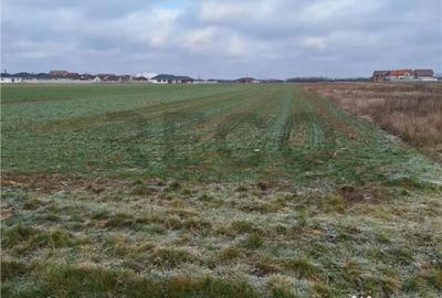 Teren în Nojorid - 5